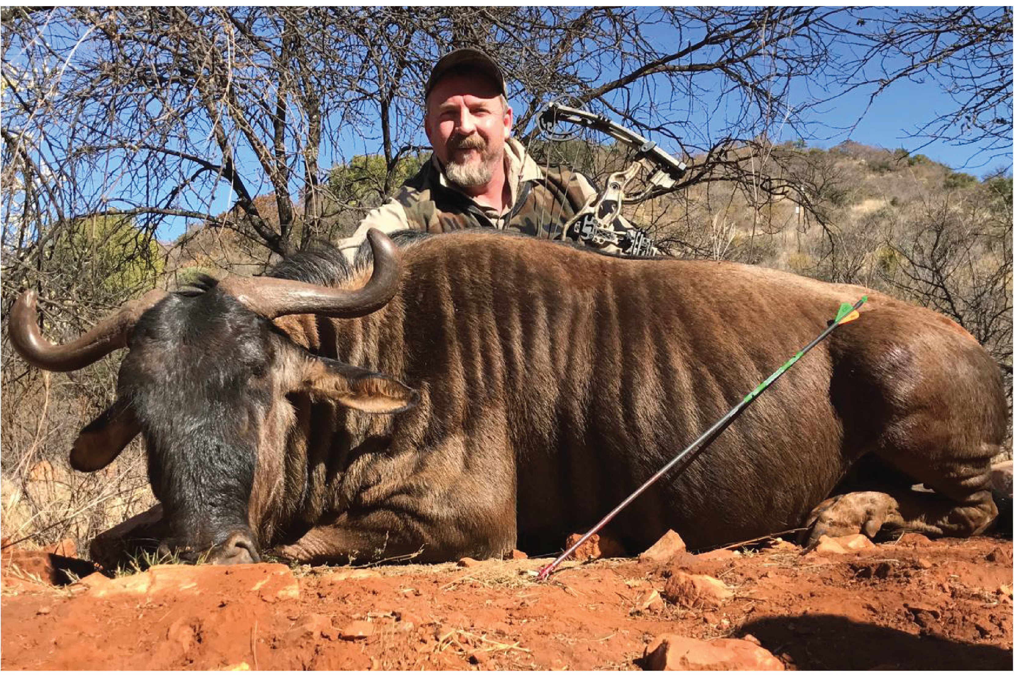 African hunting
