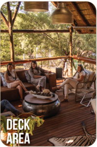 Rondekop safari