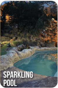 Rondekop safari